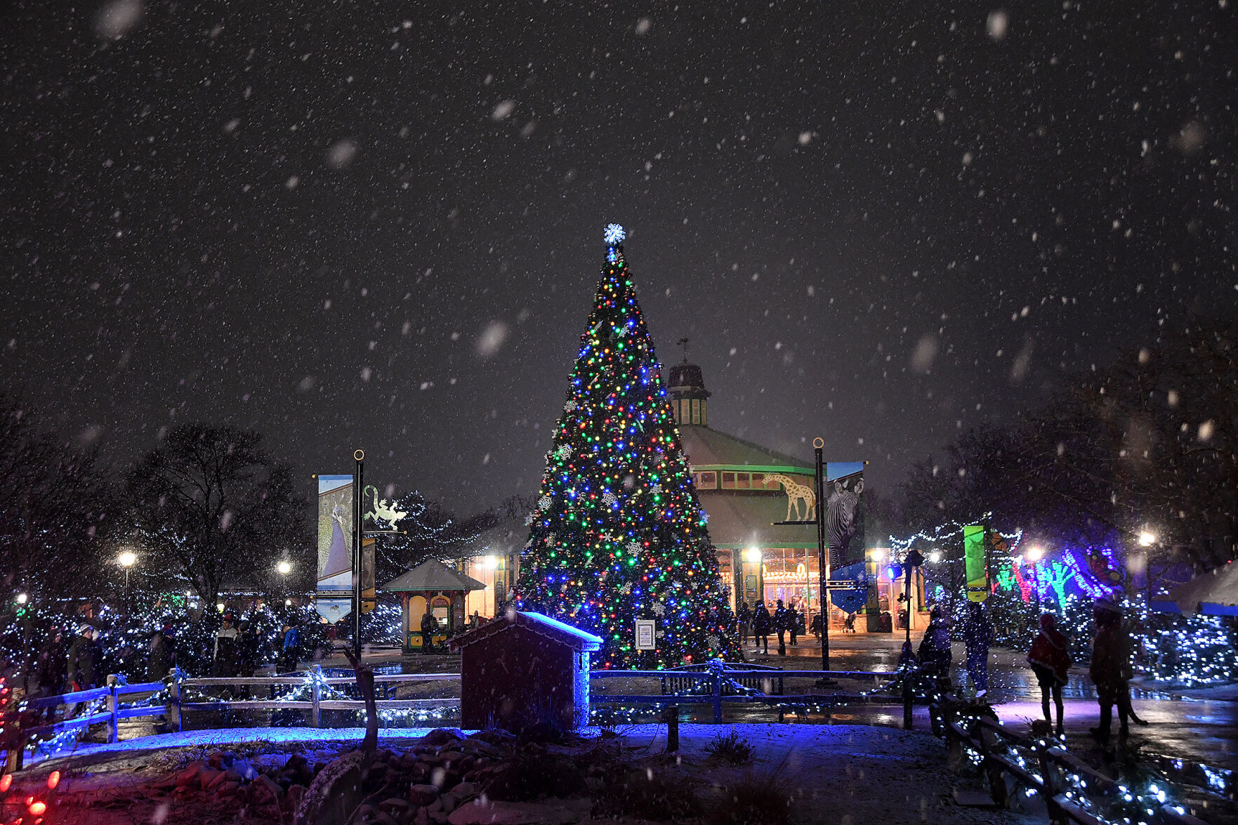 Creating Holiday Memories 1